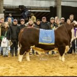 Emprendedores: irrumpieron por primera vez en una competencia de alto nivel y dieron el golpe con un toro